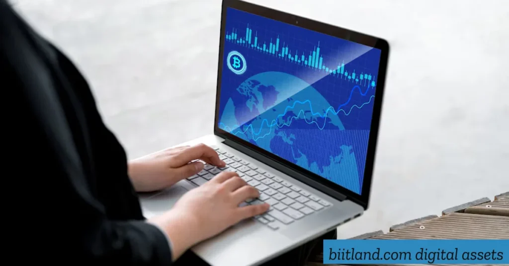 biitland.com digital assets