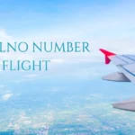 zopalno number flight